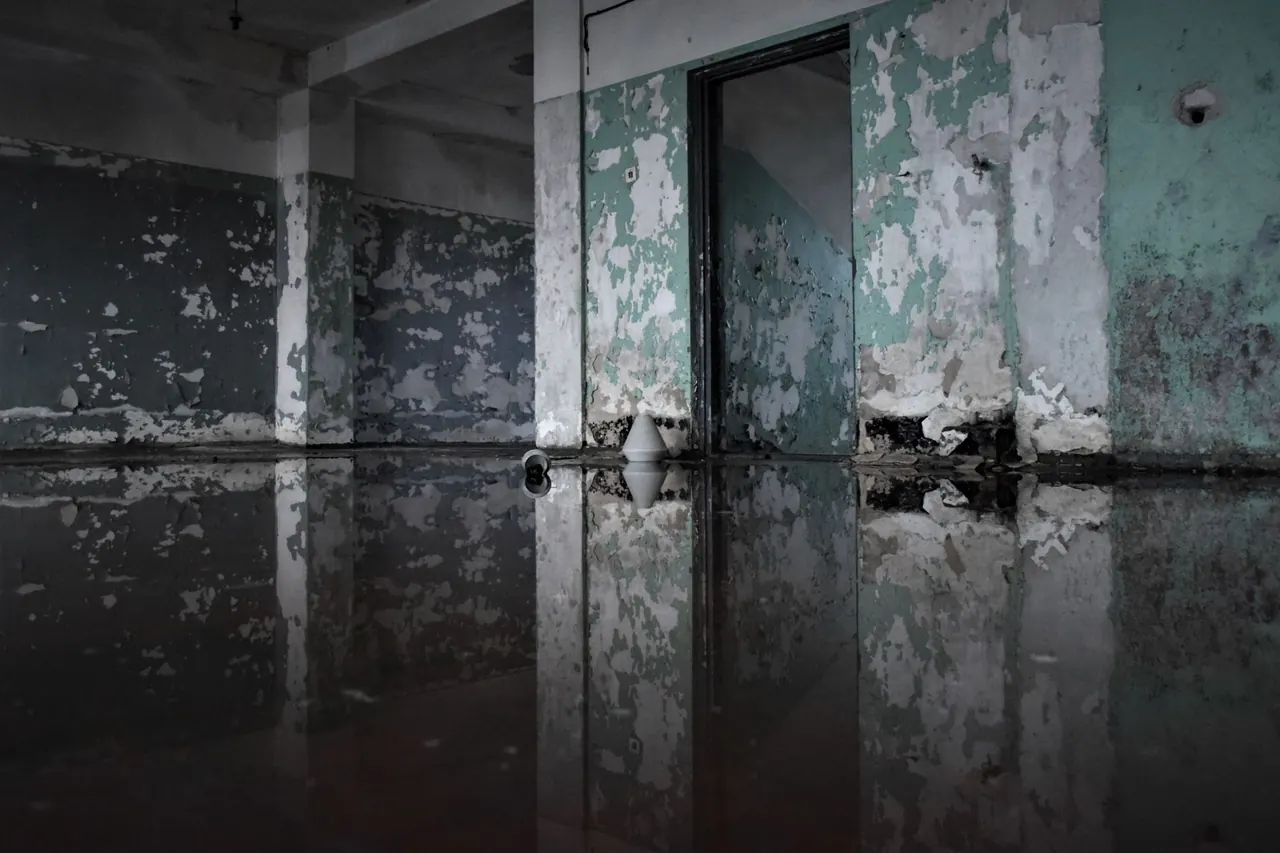 ceiling water damage inspection and diagnostic work